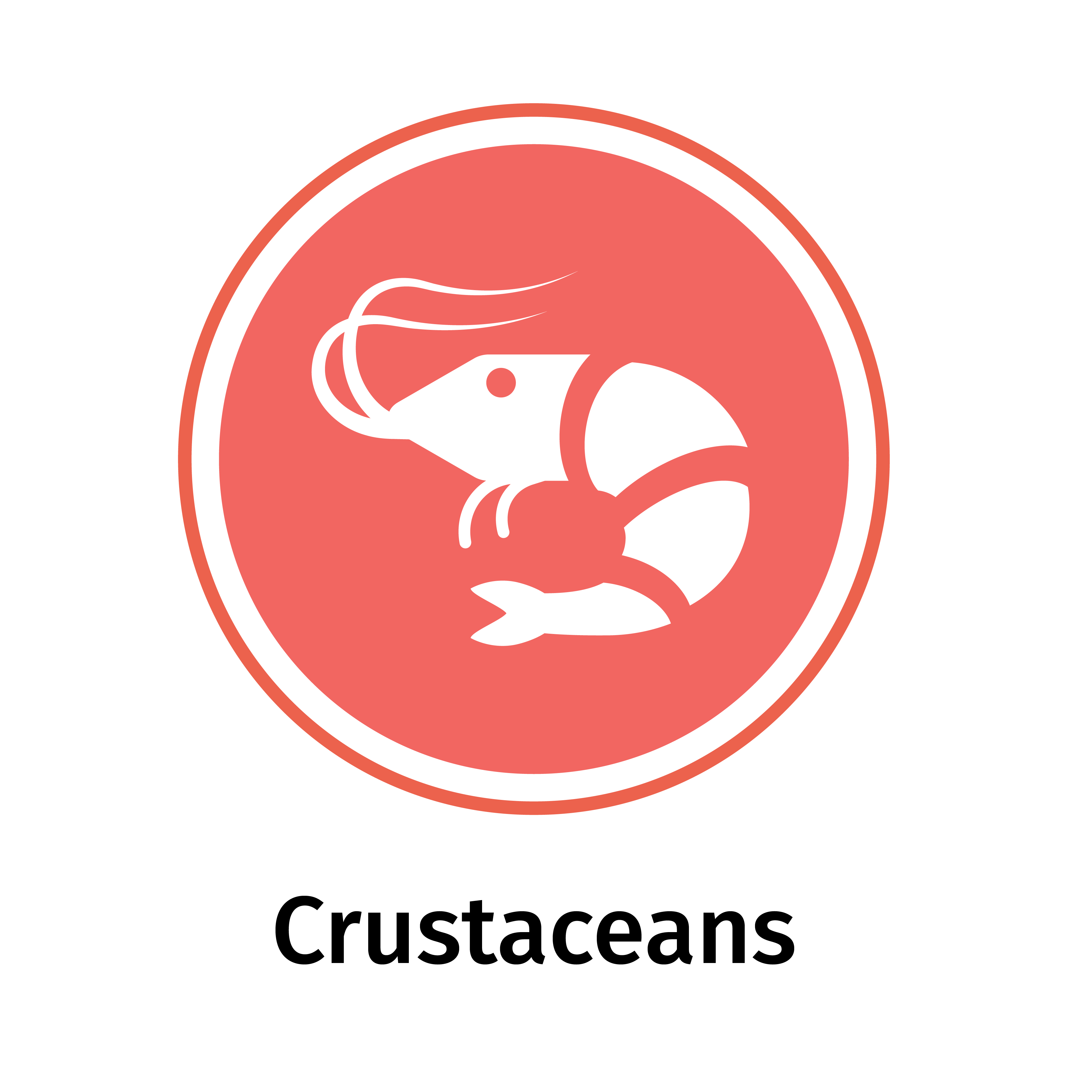 Crostacei