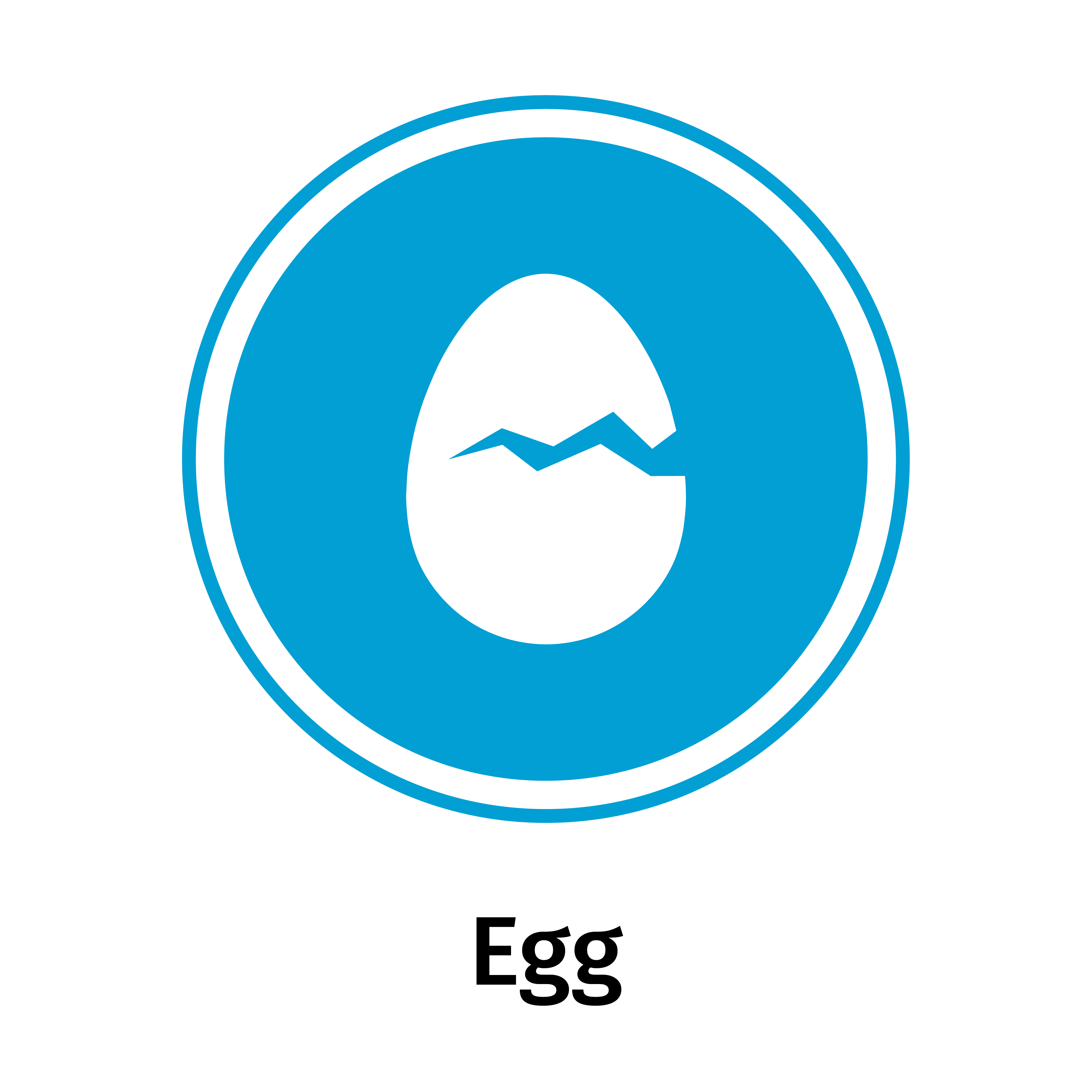 Uova